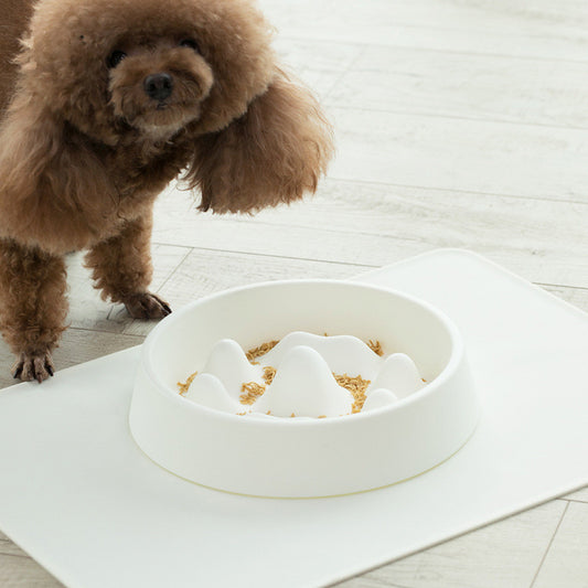 Pet Slow Feeder Bowl