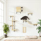 Cat Wall Shelves and Perches Set of 5, Sleeping Playing Lounging Climbing Cat Tree House for Multiple Cats, Beige