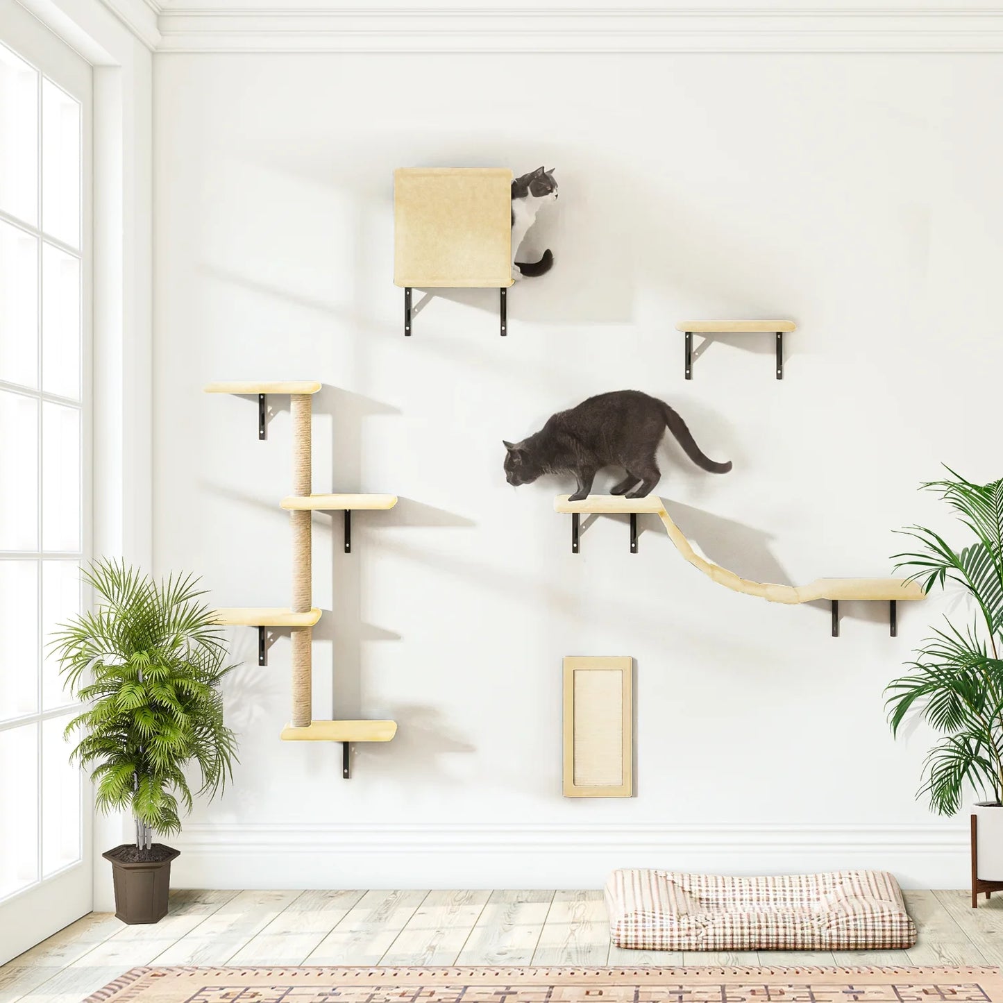 Cat Wall Shelves and Perches Set of 5, Sleeping Playing Lounging Climbing Cat Tree House for Multiple Cats, Beige