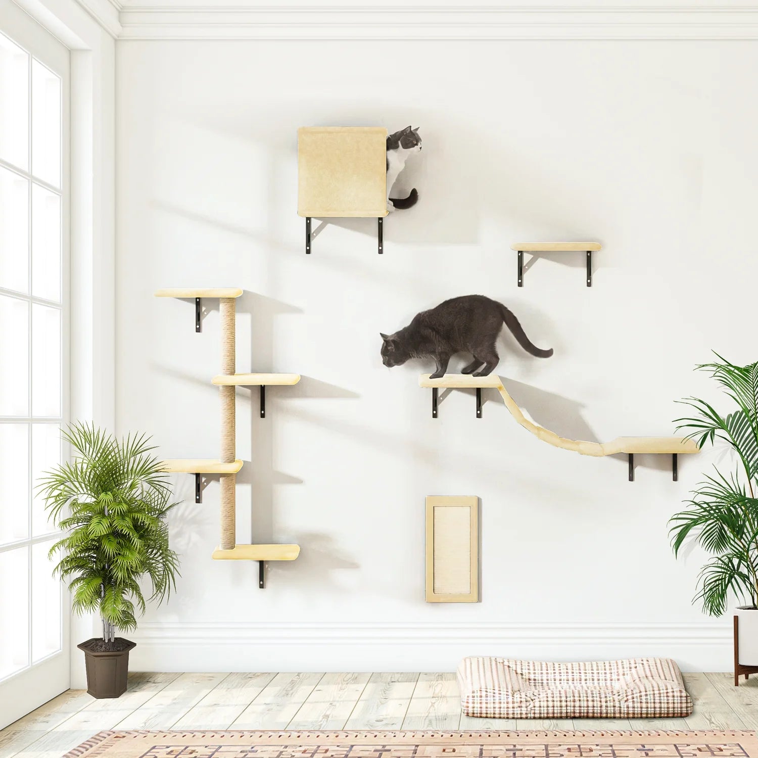 Cat Wall Shelves and Perches Set of 5, Sleeping Playing Lounging Climbing Cat Tree House for Multiple Cats, Beige