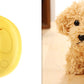 3-in-1 Electric Steam Pet Brush