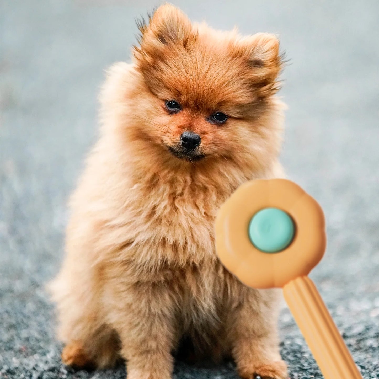 Pet Grooming Brush for Cats and Dogs Self-Cleaning Sliker Brush for Removes Mats Tangles Shedding Brush (Orange)