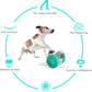 Dog Toys Interactive Food Puzzles Ball for Dogs Cats Pet Slow Feeder Ball Robot