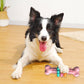 Durable Dog Chew Bone Toy