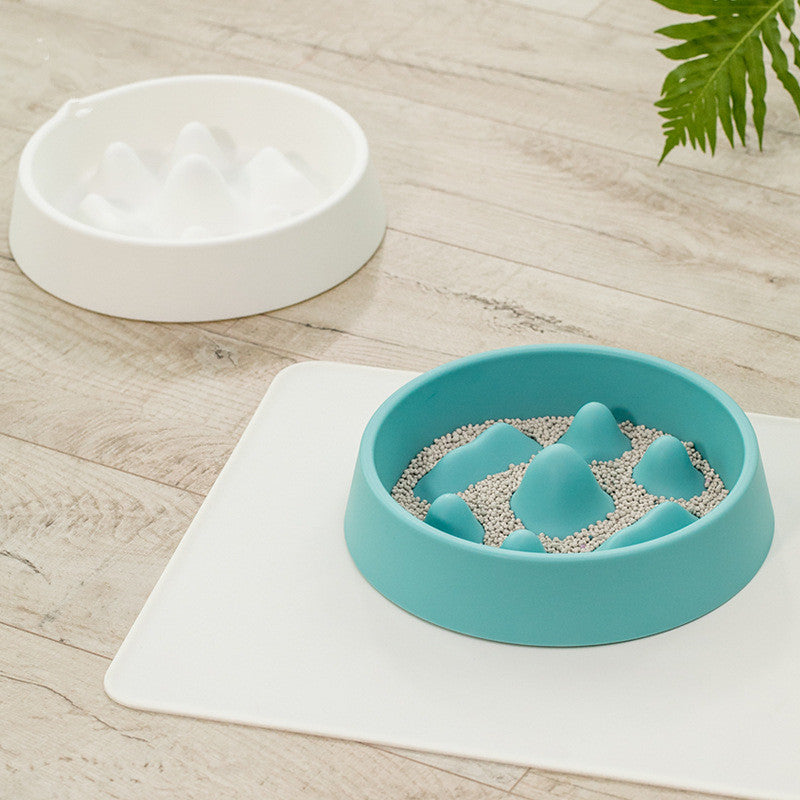 Pet Slow Feeder Bowl