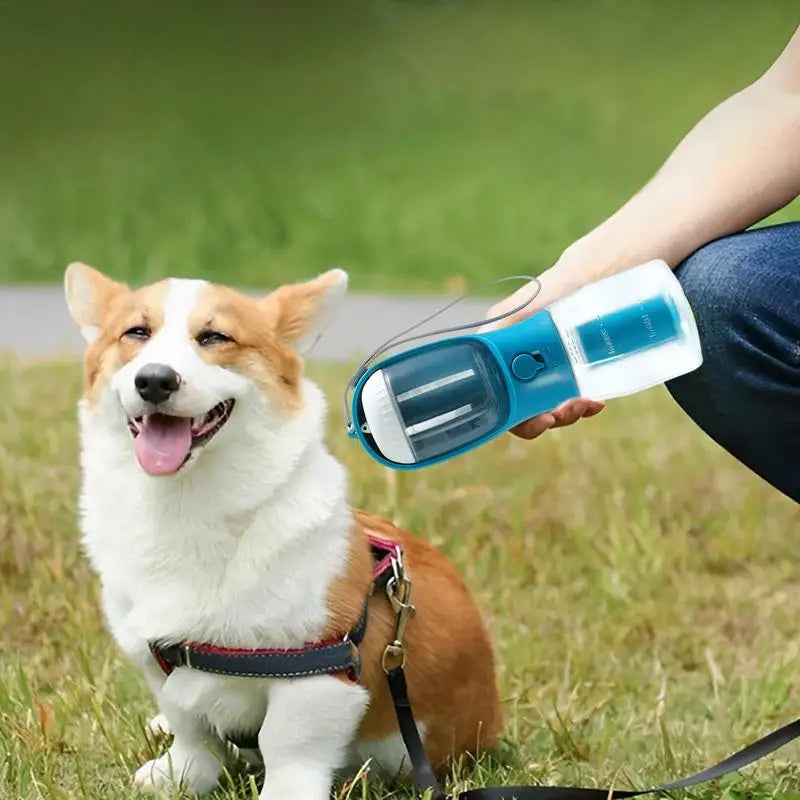 3-in-1 Portable Dog Water Bottle & Container