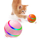Interactive Smart Cat Ball Toy