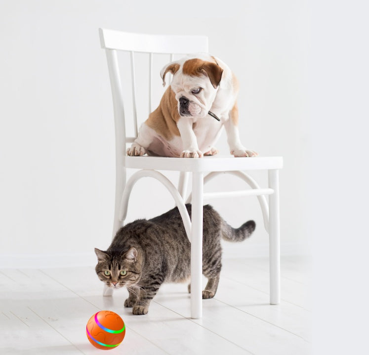 Interactive Smart Cat Ball Toy