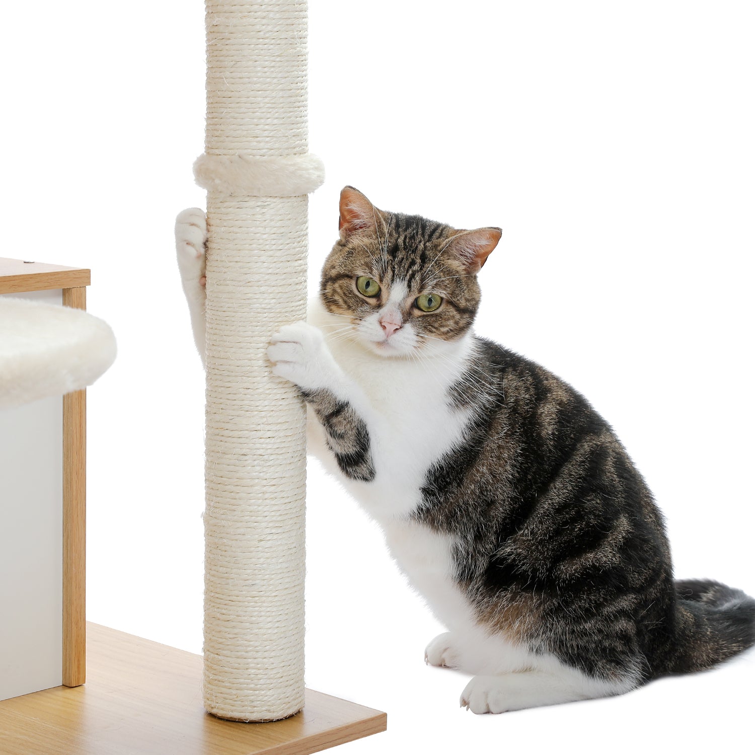 51" Modern Cat Tower for Indoor Cats, Multilevel Cat Tree Cat Play House with Large Cat Condo, Beige
