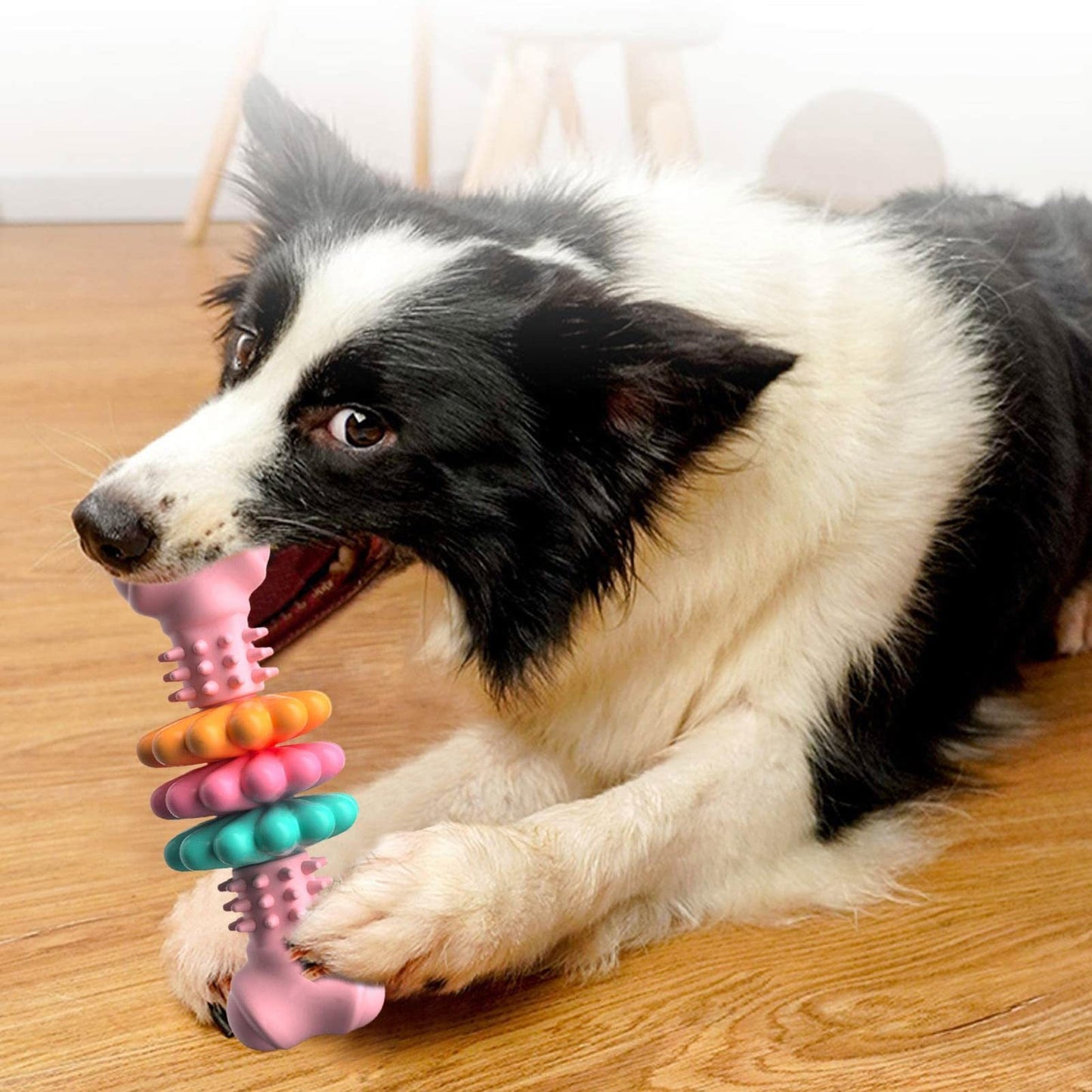 Durable Dog Chew Bone Toy