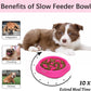 Slow Feeder Dog Bowls, Non Slip Cat Food Bowls, Bloat Stop Maze Pet Dishes, Interactive Feeder for Small Breeds 1 Cup Purple